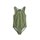 MAYFLY